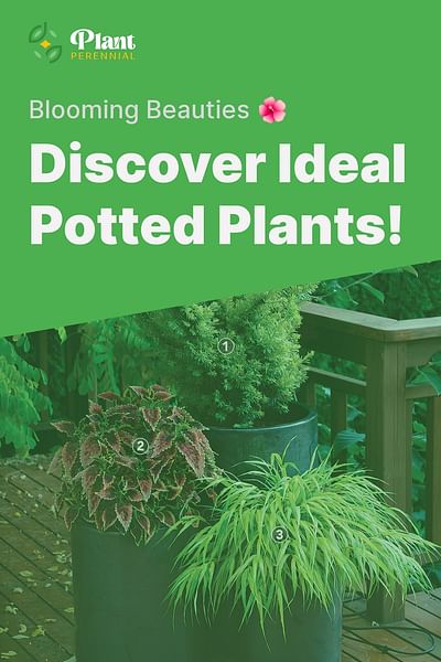 Discover Ideal Potted Plants! - Blooming Beauties 🌺