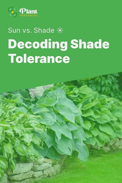 Decoding Shade Tolerance - Sun vs. Shade ☀️