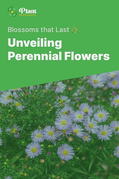 Unveiling Perennial Flowers - Blossoms that Last 🌿