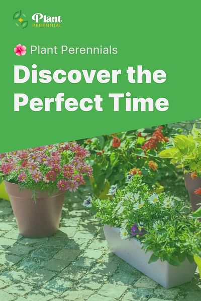 Discover the Perfect Time - 🌺 Plant Perennials