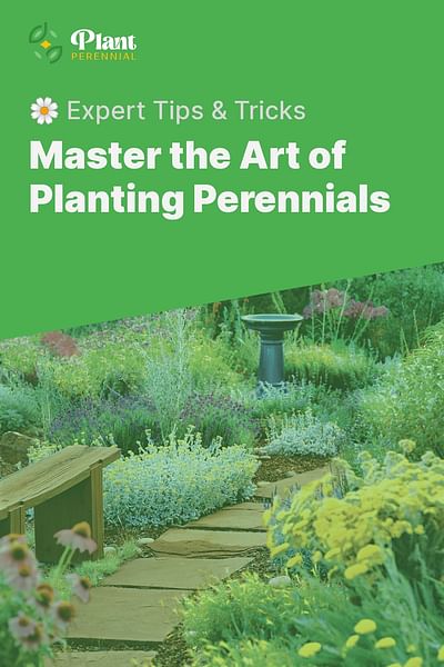 Master the Art of Planting Perennials - 🌼 Expert Tips & Tricks