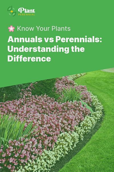 Annuals vs Perennials: Understanding the Difference - 🌸 Know Your Plants
