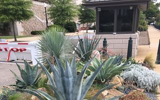 How can I create a drought-tolerant perennial garden?