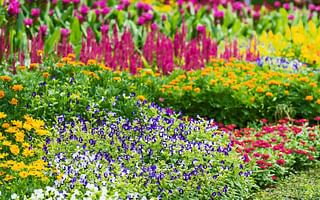 How can I ensure flowers bloom in my garden every season?