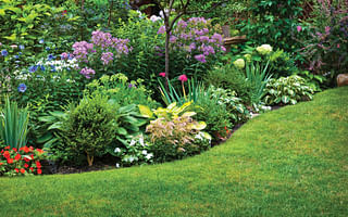 How to create a perennial garden in your front yard?