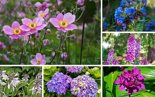 What are some successful perennial planting combinations?