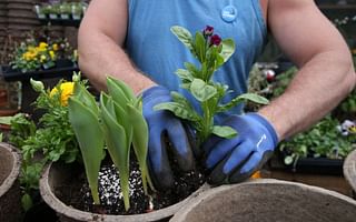 What are some tips for beginners to start gardening?