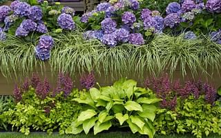 What are the best perennial flowers for a shade garden?