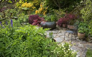 What are the best perennials for a garden with both sun and shade?