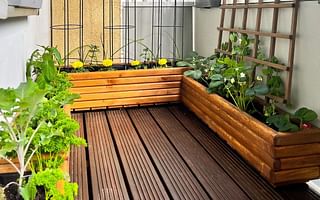 What are the best plants and flowers for a balcony garden?